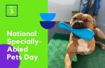 National Specially-Abled Pets Day