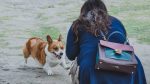 animal communicator