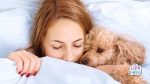 better nights sleep with dog