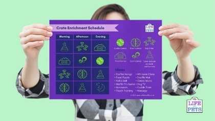 download sample schedule