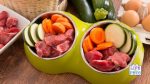 healthiest meat for dogs