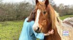 pony cuddles