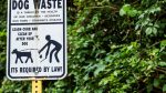 how to properly dispose of dog poop
