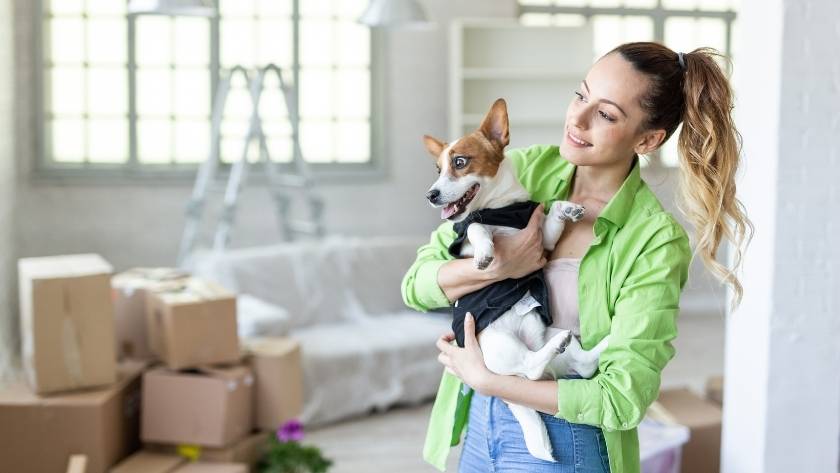 10 tips for a save move with your pets
