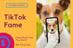 tiktok marketing for pet business