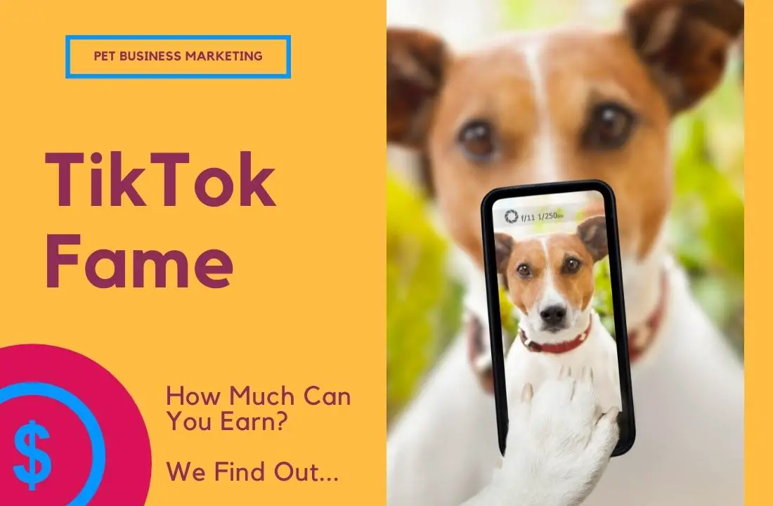 tiktok marketing for pet business