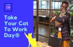Take your cat to work day