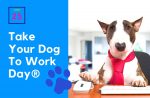 Take your dog to work day