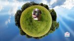 eco pet toys