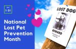 national lost pet prevention month
