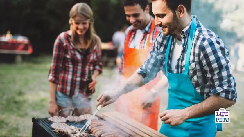 BBQ safety tips with pets
