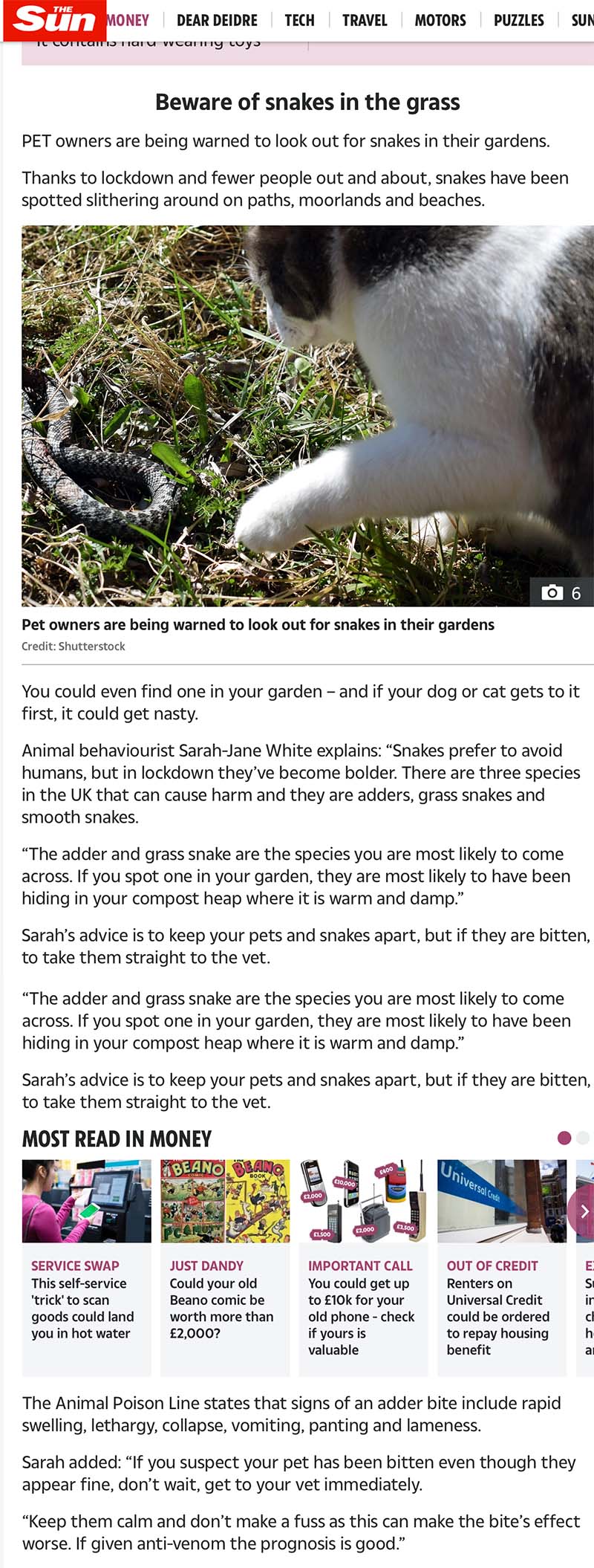 Beware of Snakes in the Grass The Sun July 11 2021