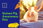 guinea pig awareness day