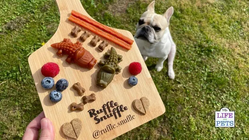 barkuterie board