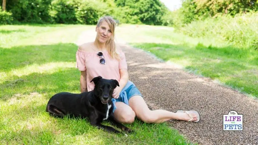 claire harris - pets 2 places