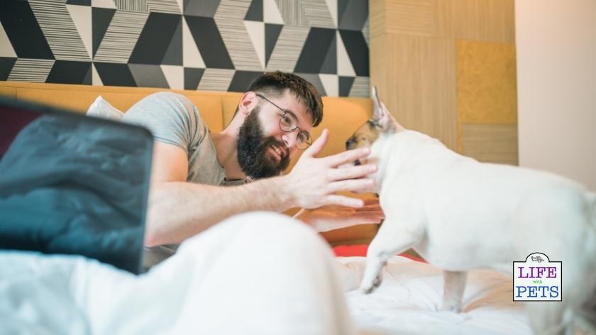 dog waking you up too early