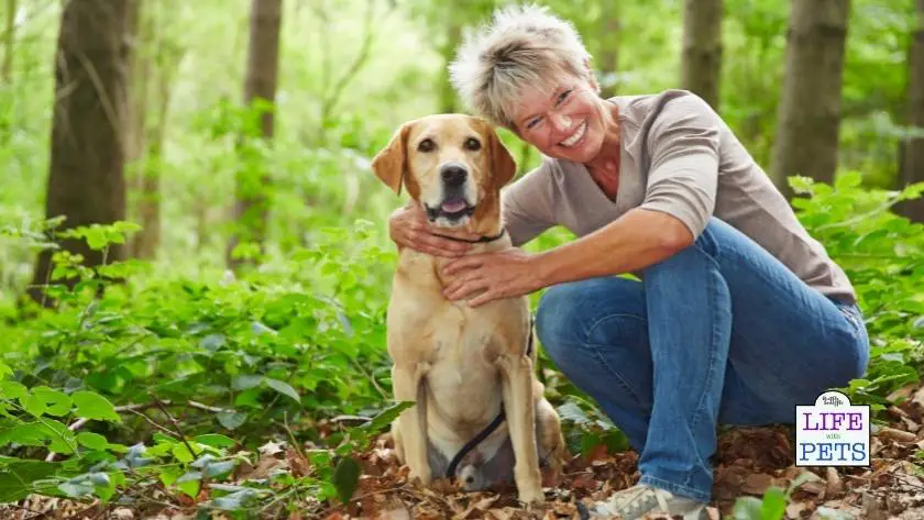 Did You Know Sugar Moms Look More Attractive Thanks to Their Pets!