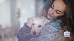 Star Sign Dog Guide: Find the Pet Most Compatible with Your Zodiac Sign