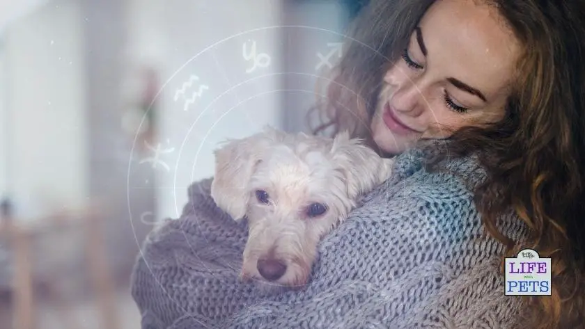 Star Sign Dog Guide: Find the Pet Most Compatible with Your Zodiac Sign
