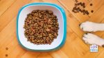 Understanding Dog Food ingredients A glossary