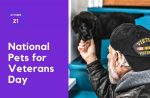 pets for veterans day
