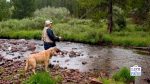 going fishing with your dog