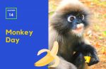 monkey day december 14
