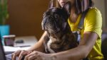 Why students with pets are more patient and disciplined