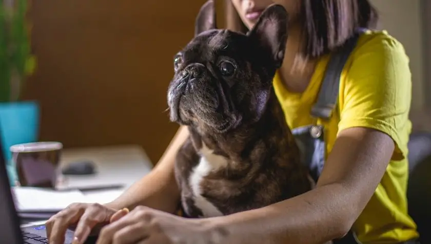 Why students with pets are more patient and disciplined