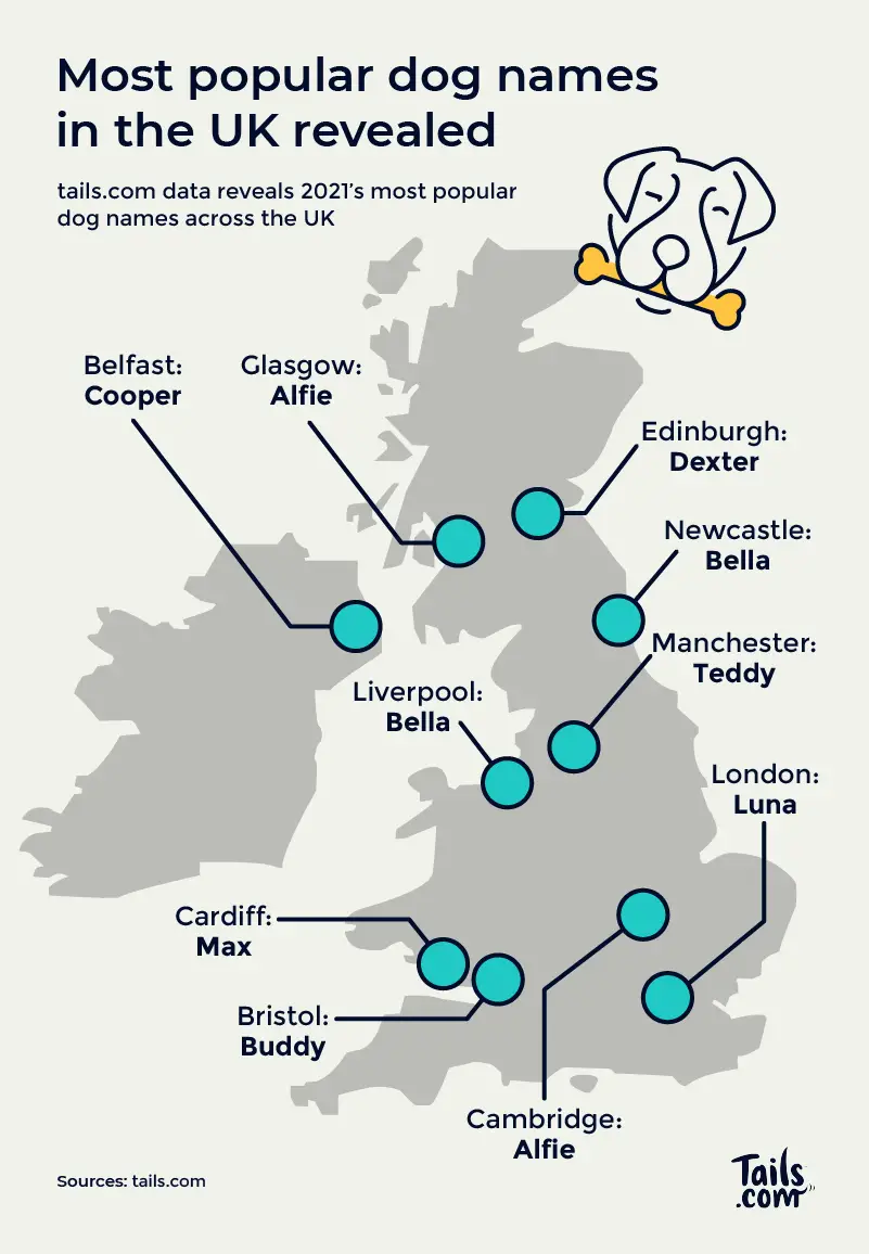 Cool names for dogs - this years hot favourites Most Popular Dog Names in the UK by Region