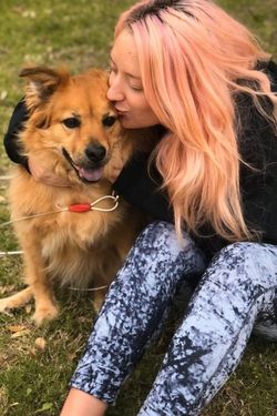 falling in love with your dog stories amber