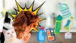 5 Cleaning Products You Should Never Use Around Your Pets
