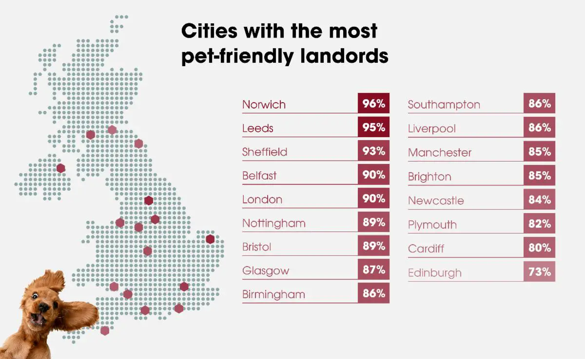 cities with the most pet friendly landlords