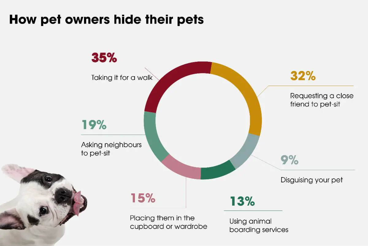how pet owners hide their pets