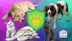 The UK’s top 10 cat and dog types revealed and how much they cost to insure