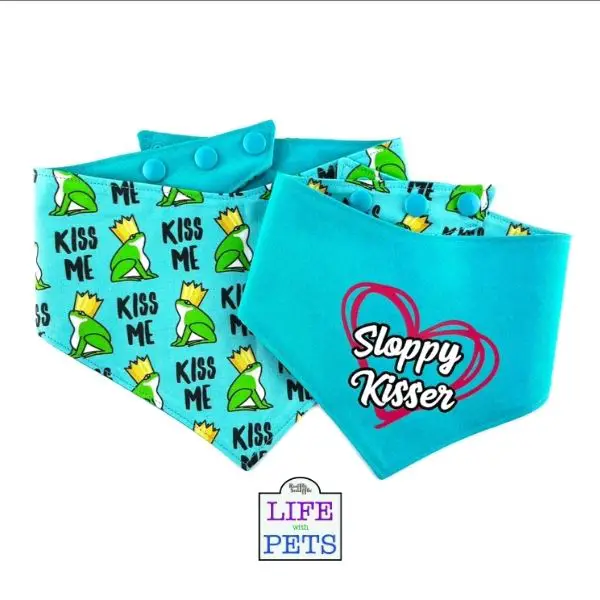 Reversible dog bandana £11.95- £17.95 from GambitAndMe