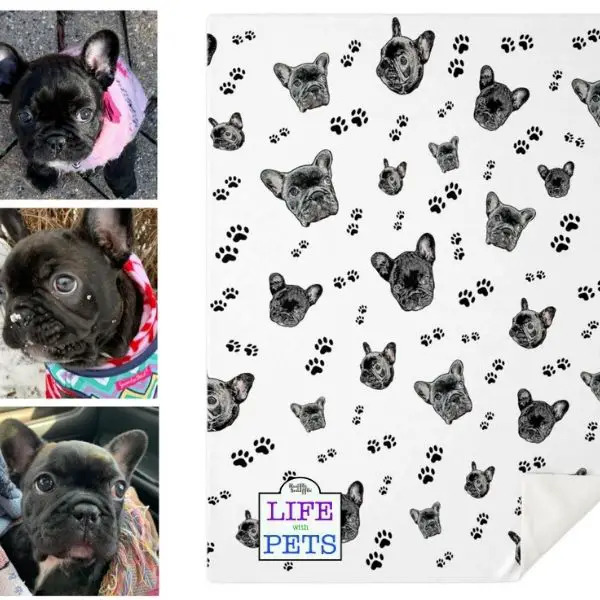 Valentines Gifts for Dogs blanket