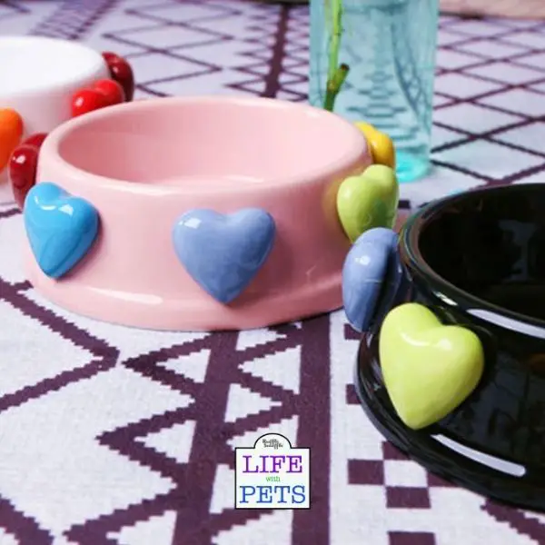 Colourful ceramic heart dog bowl £20 from Petwearstore