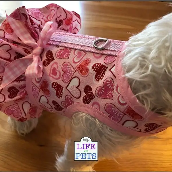 Valentines Gifts for Dogs harness dress