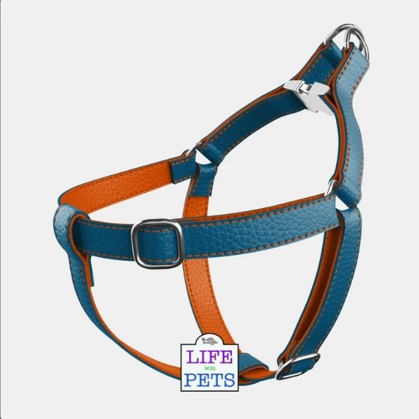 Valentines Gifts for Dogs leather