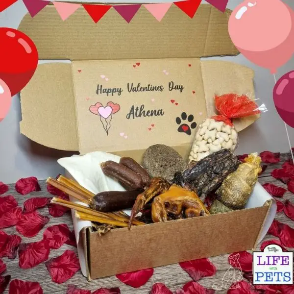 Valentines Gifts for Dogs meal