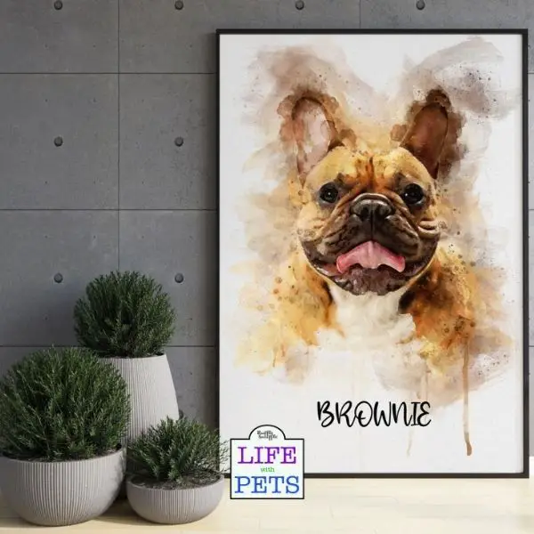 Watercolour pet portrait £23.66 - £91.83 from GiftoholicMe