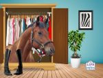 hiding your pet from your landlord
