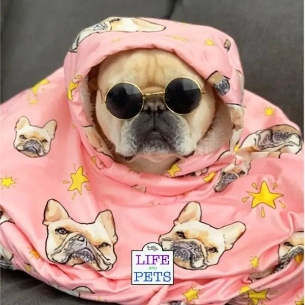 Custom oversized dog mum hoodie blanket £121.39 - £157.24 from MyBreedIsBest
