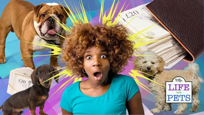 price of dogs uk
