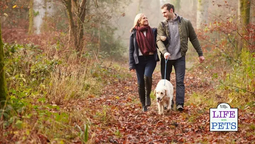 go for a walk on your date
