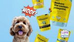 chippin pet review