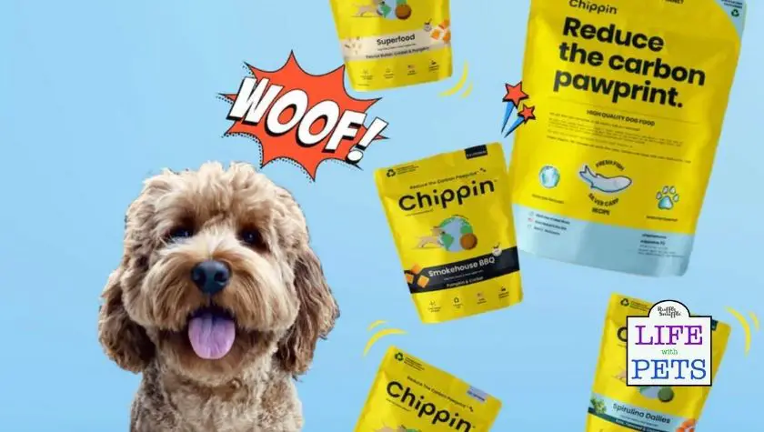 chippin pet review