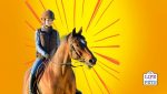 horse riding lessons