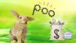 make money from rabbit poo recycle bunny poop